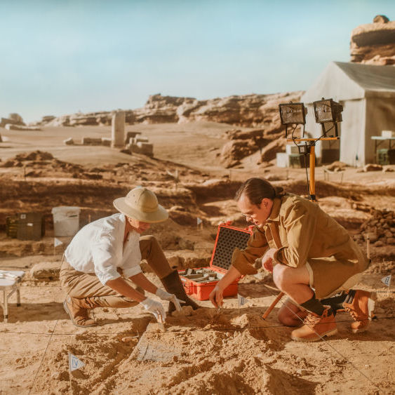 WAS IST WAS Dino-Nest