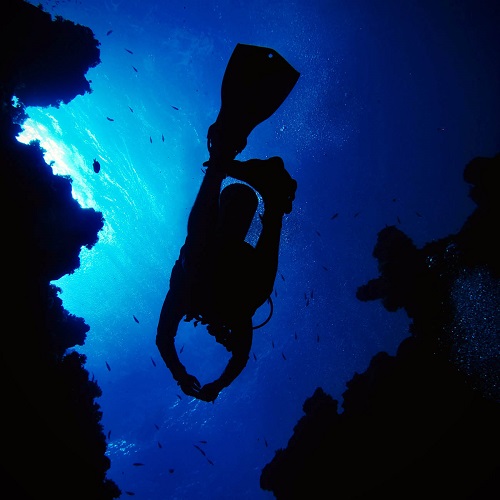 Der Schatz des ewigen Glücks